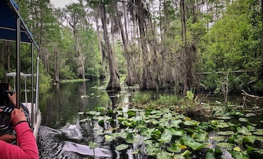 Guided Boat Tour - Stephen C. Foster State Park - Okefenokee Swamp