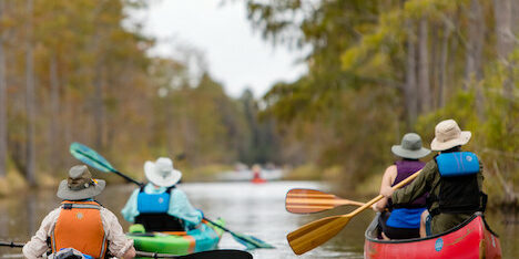 People Canoeing Kayaking - Okefenokee National Wildlife Refuge - Okefenokee Swamp